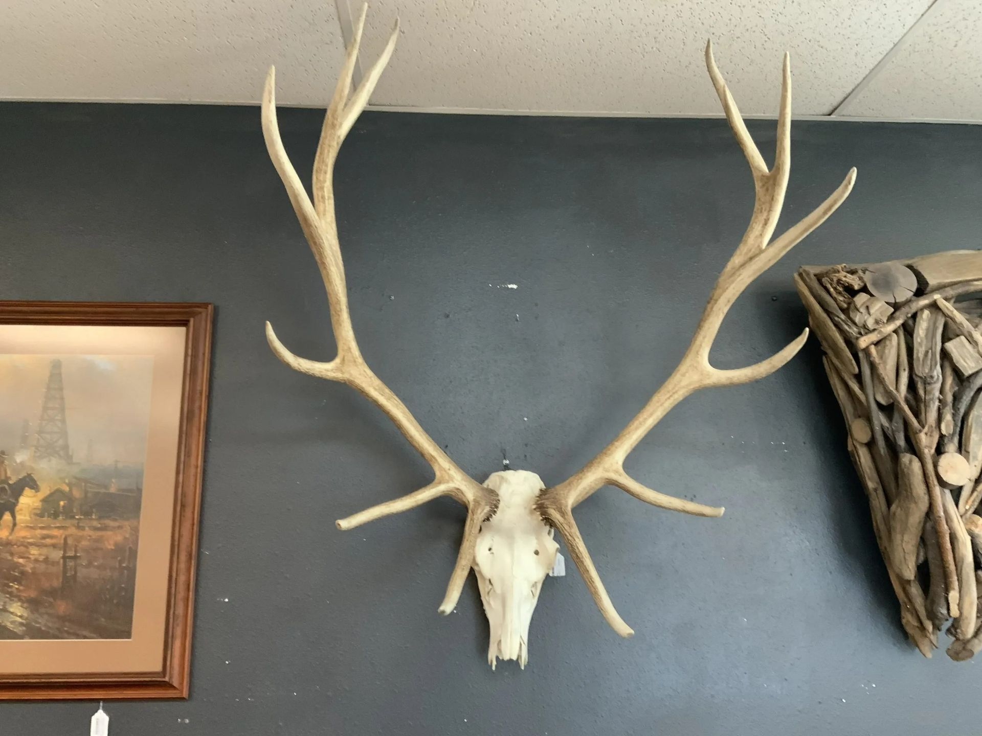 A wall-mounted deer skull with large antlers, flanked by a framed print on the left and a driftwood wall art piece on right.