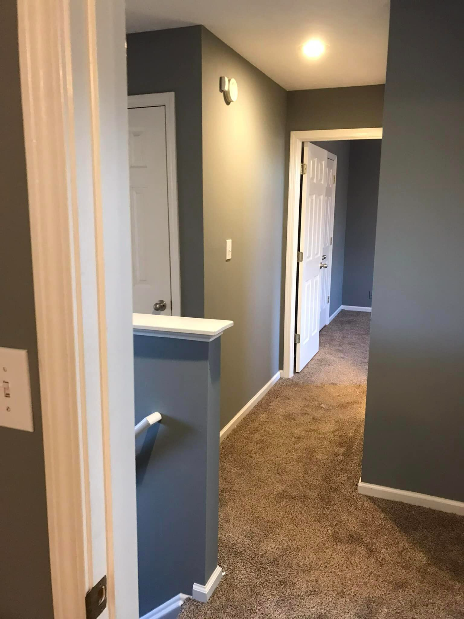 A hallway in a house with gray walls and brown carpet.