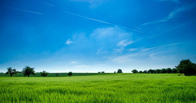 Green field under a bright blue sky with scattered trees and wispy clouds.