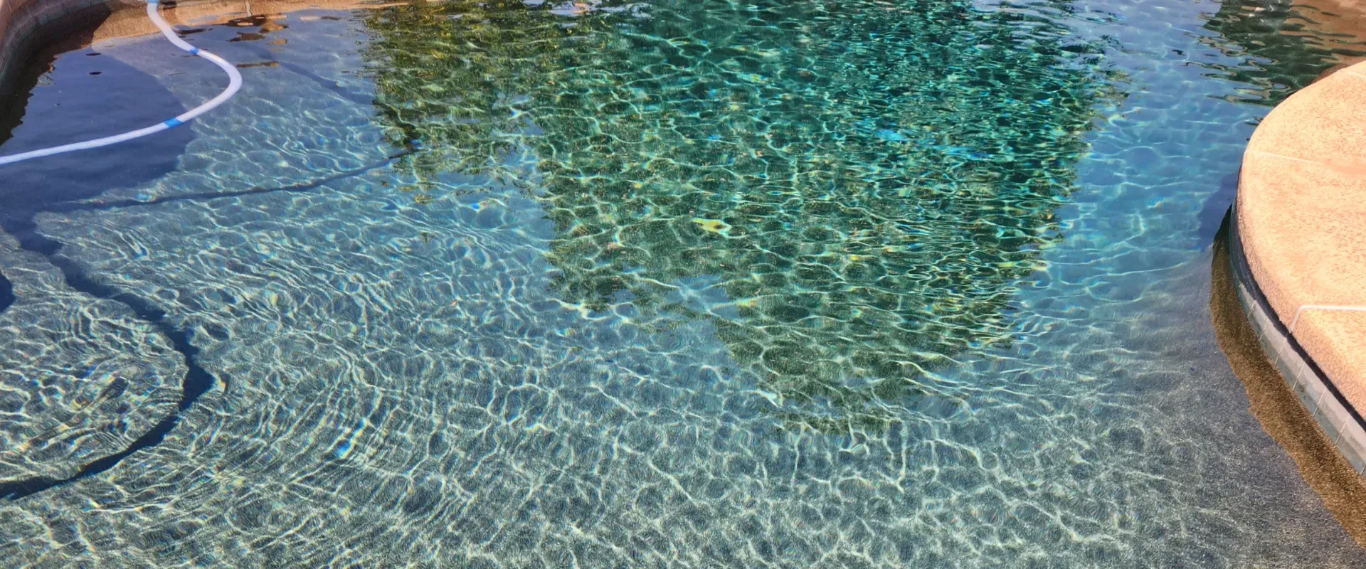 Tomao Platinum Client Pool Pic 1
