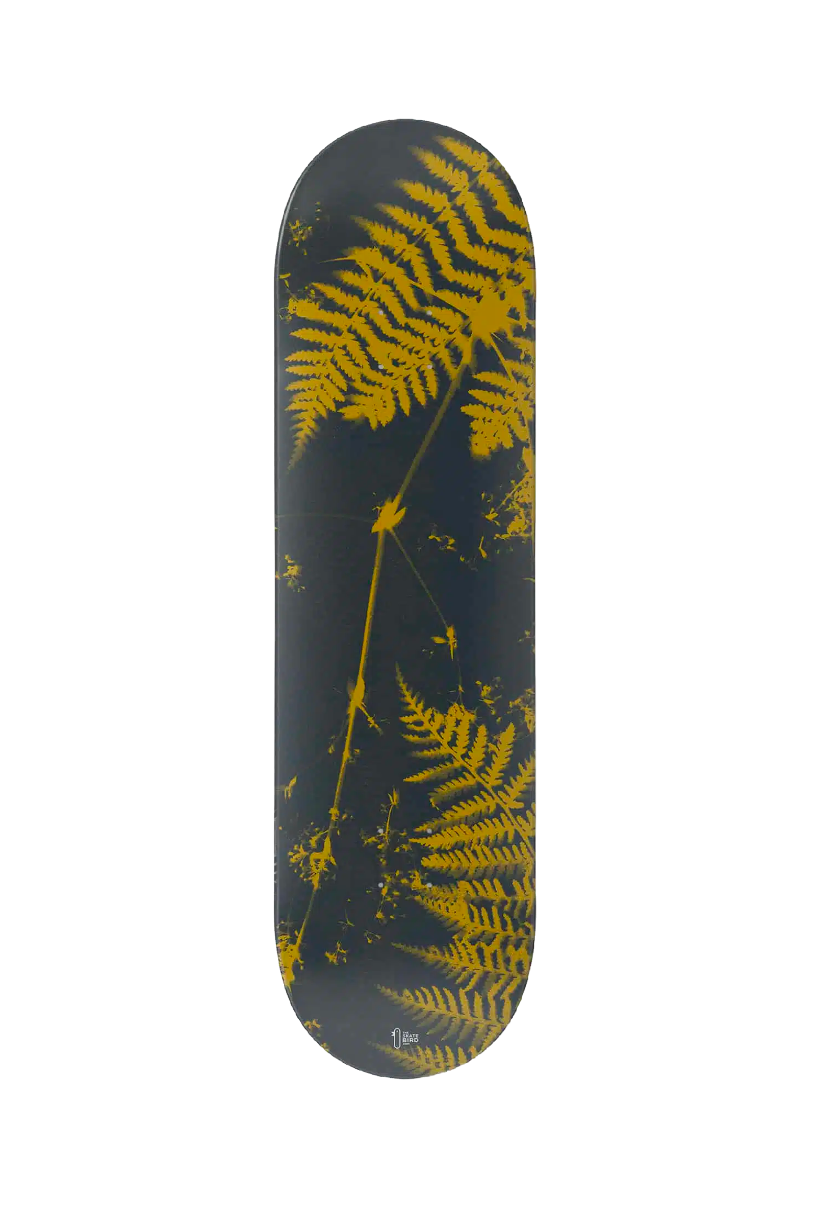 THE SKATEBIRD - FOUGÈRES