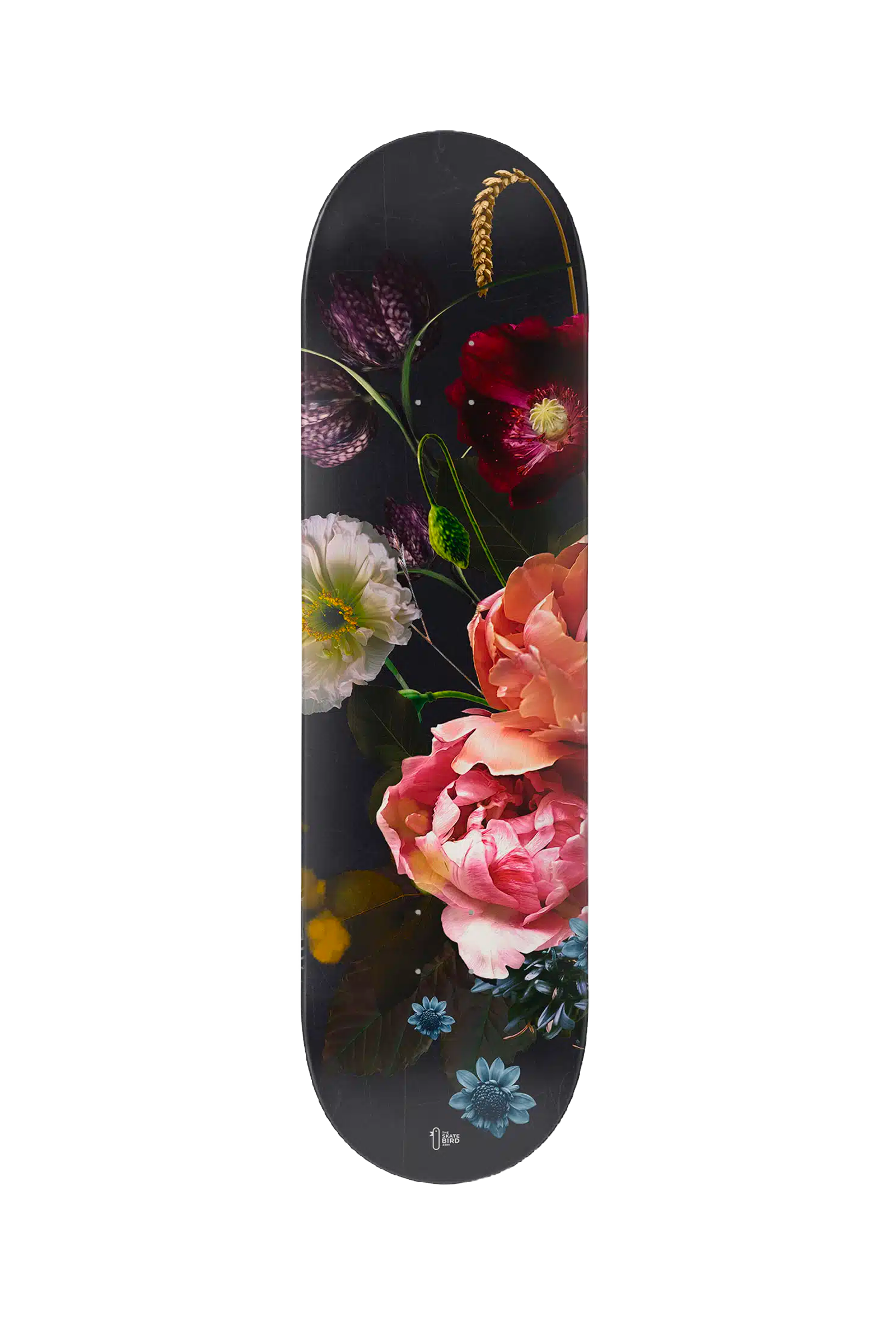 THE SKATEBIRD - NOIR
