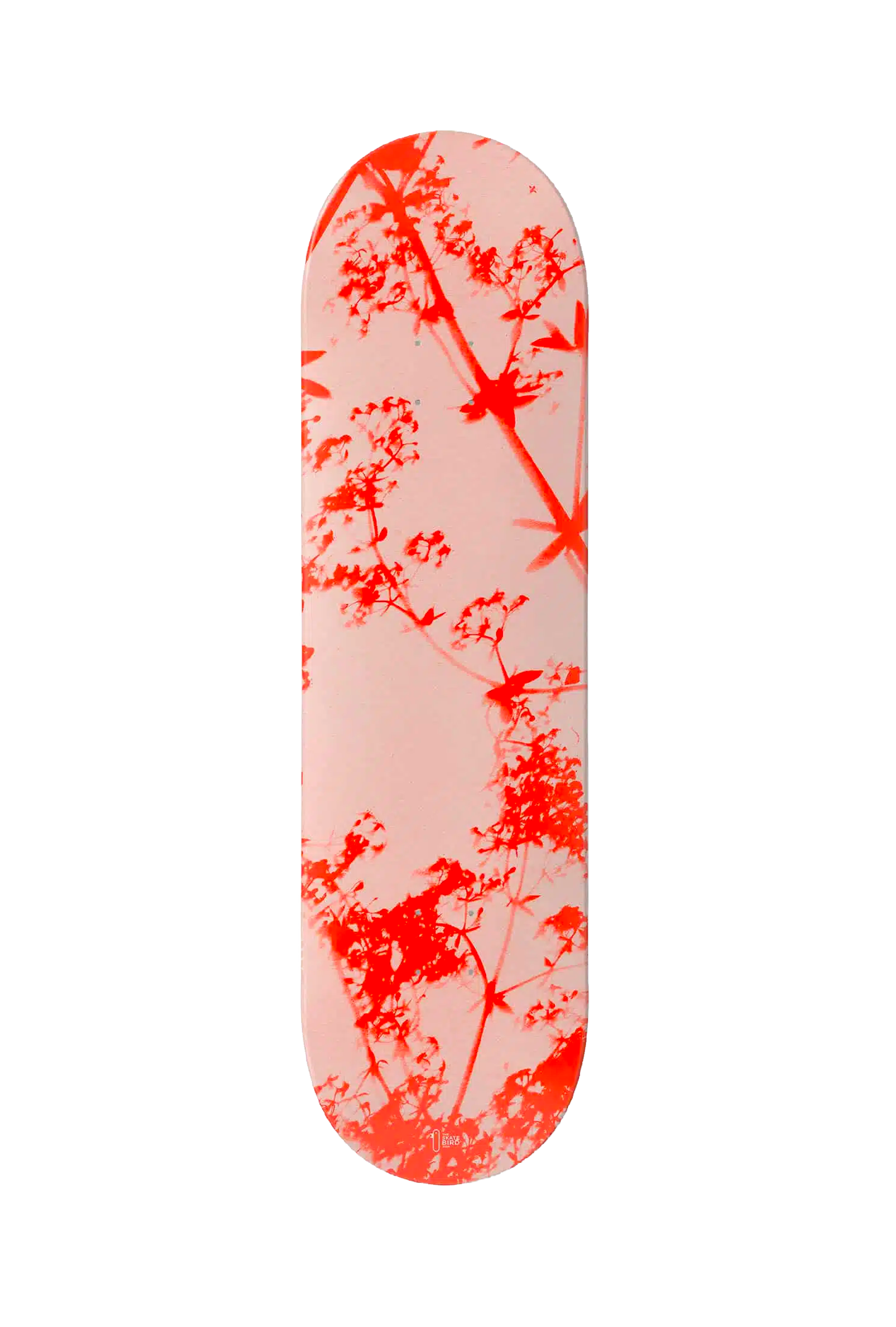 THE SKATEBIRD - CYANOTYPE