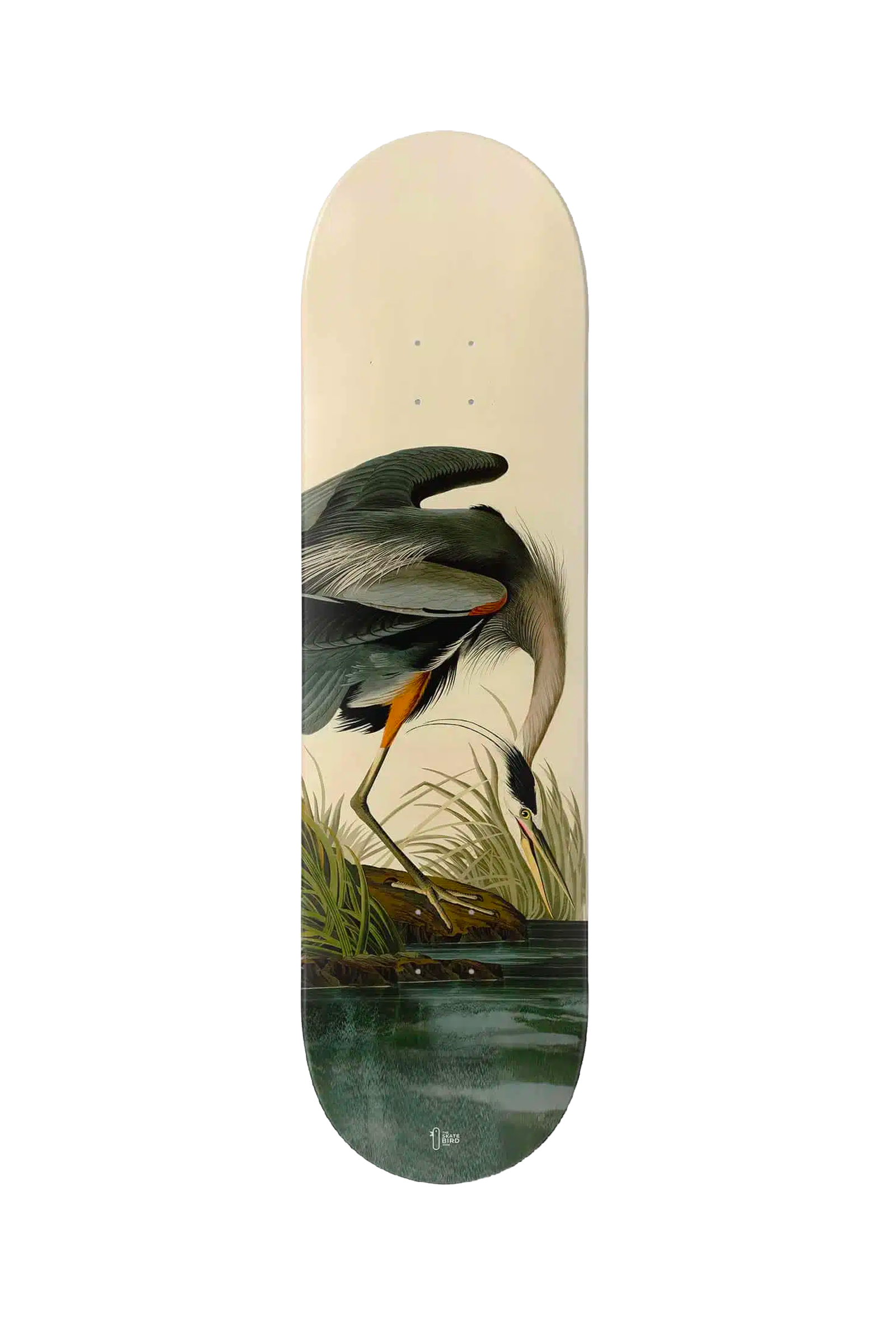 THE SKATEBIRD - HÉRON