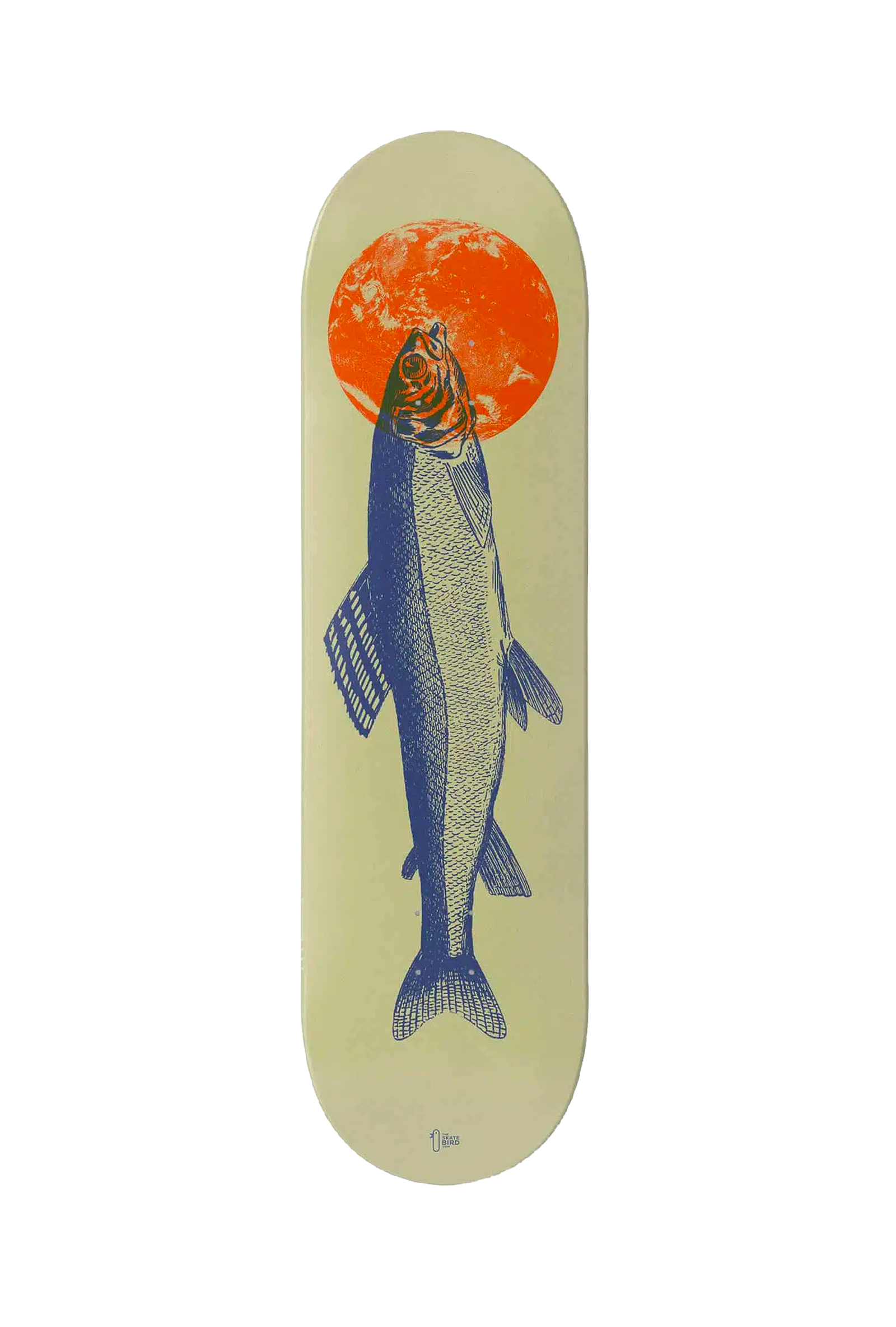 THE SKATEBIRD - THYMALLUS