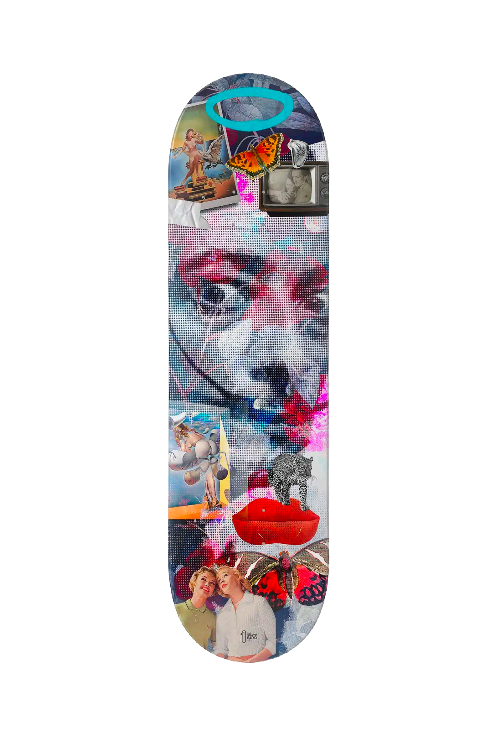 THE SKATEBIRD - SALVADOR