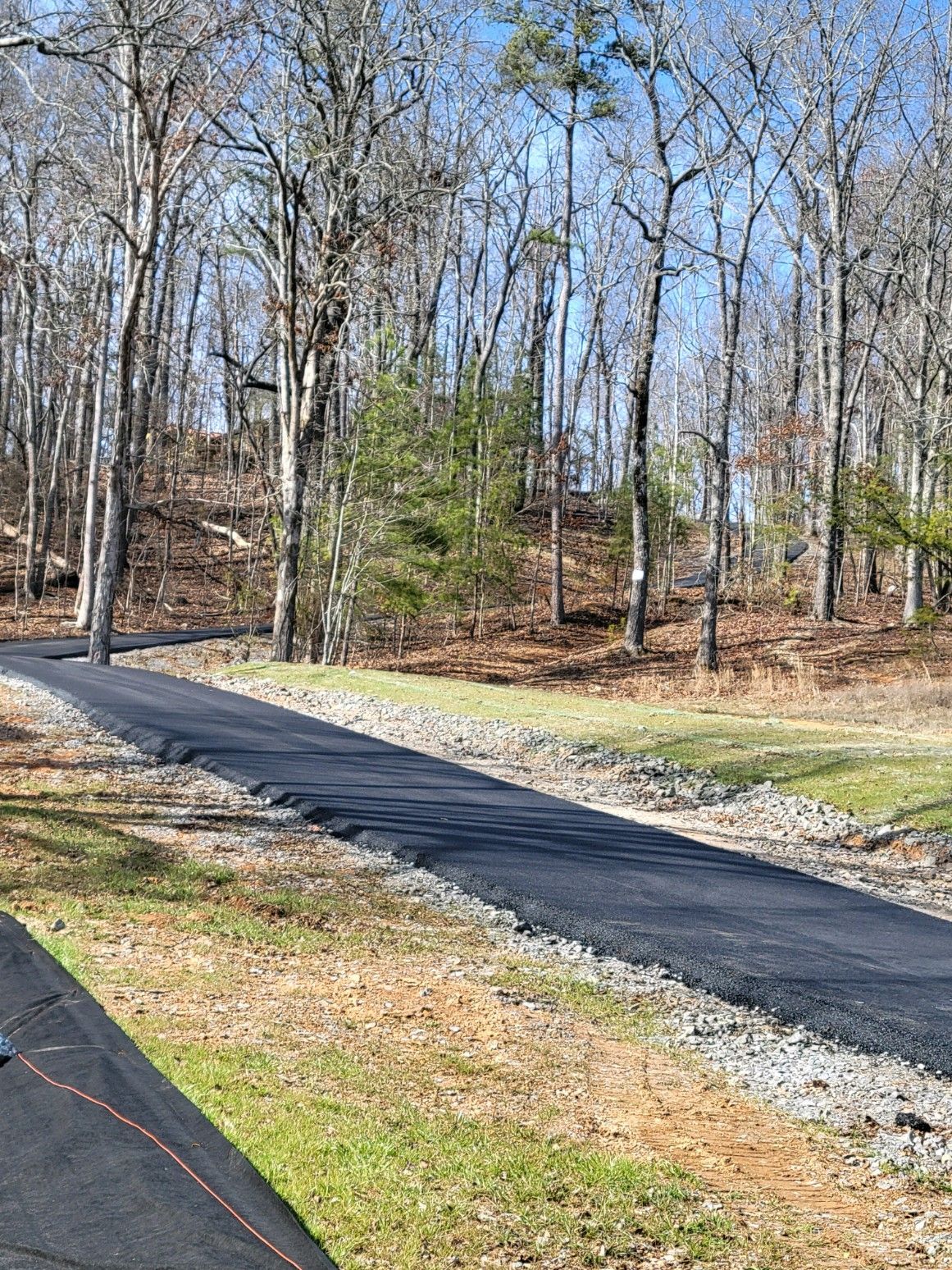 Asphalt path winds through a wooded area on a sunny day. Trees line the sides.