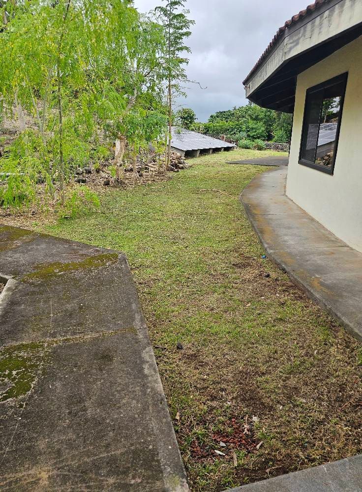 Grassy yard beside a curved building wall, with concrete path, trees, and a small shed in the background