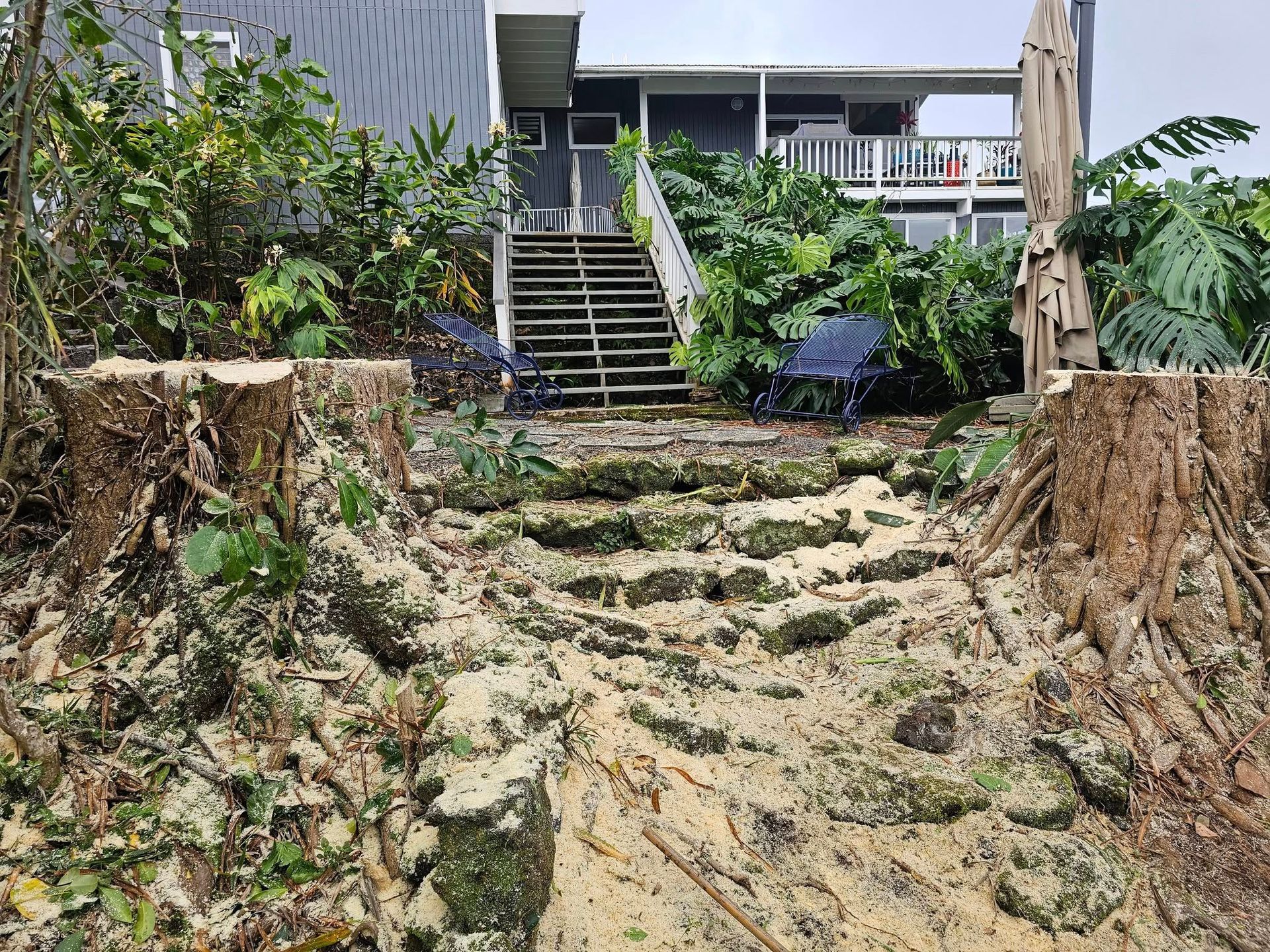 Steep muddy dirt path with eroded steps leading up to a house surrounded by greenery