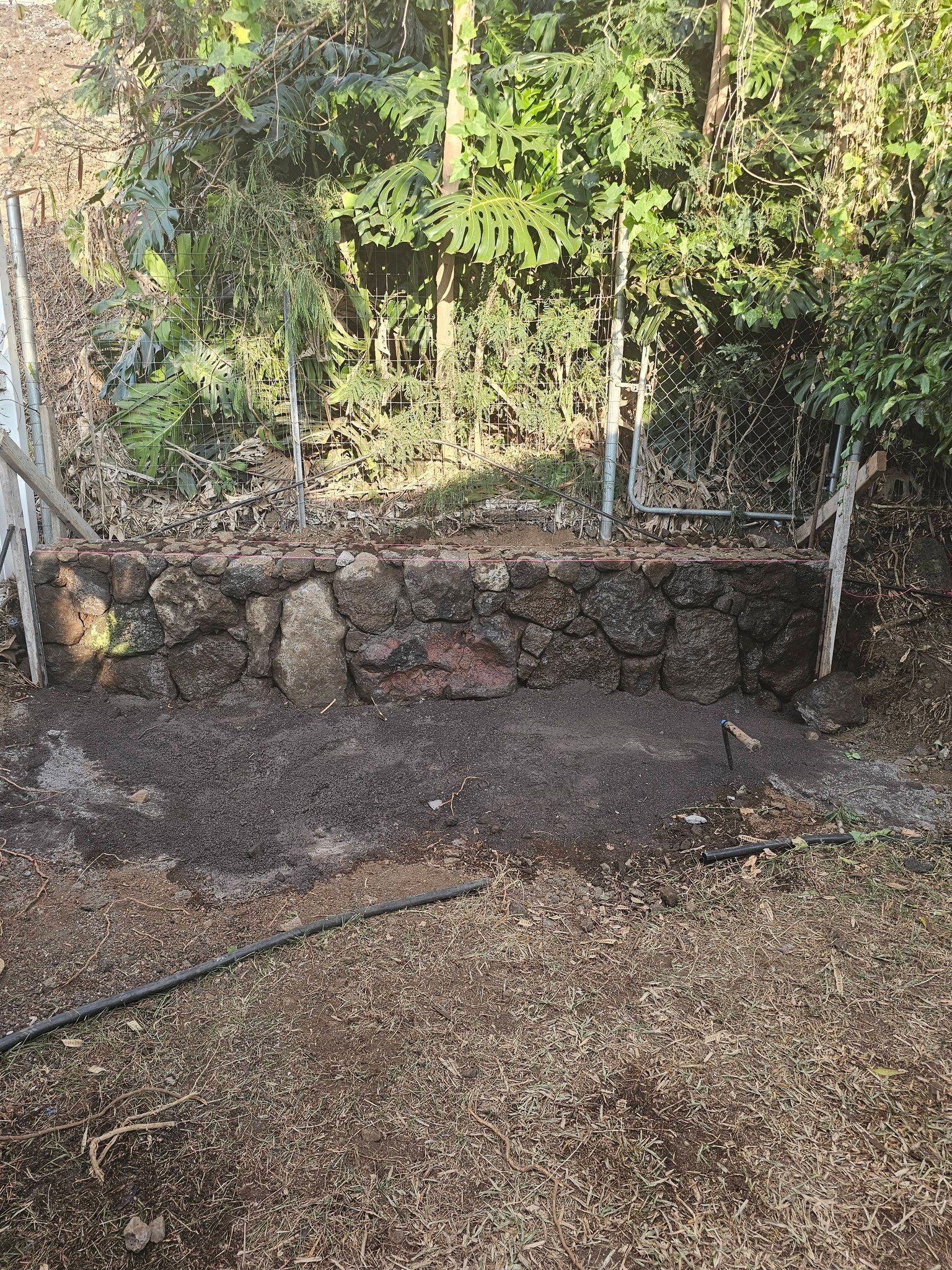 Gravel yard with a low stone wall and dense green foliage behind it