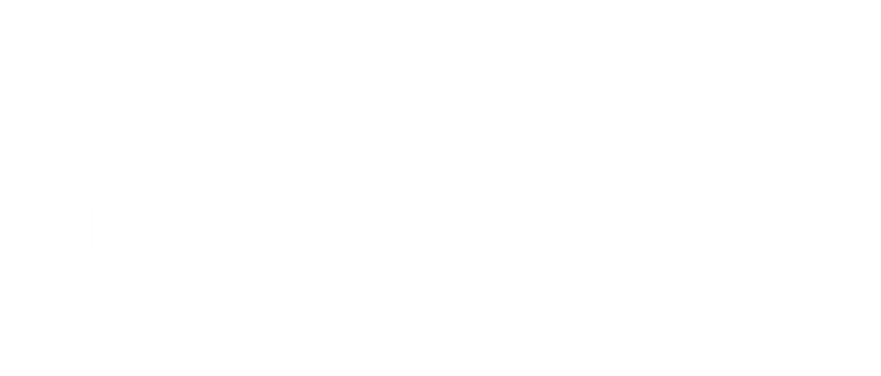 HSH Security & Automation Logo