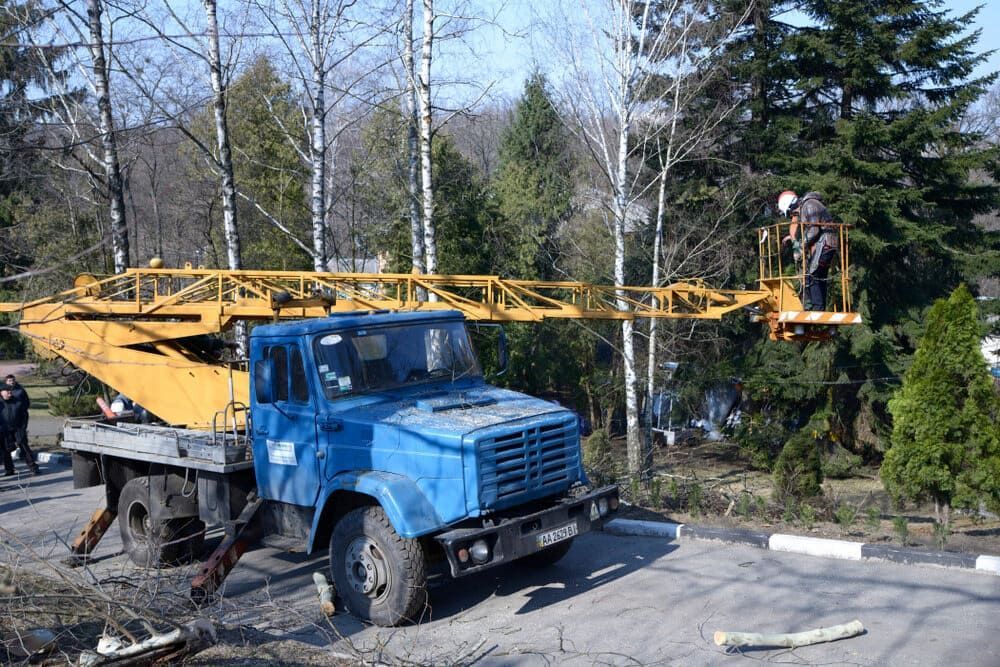 Blue Truck With a Boom Lift Trimming a Tree in a Park-like Setting — Airlie Tree Specialists Pty Ltd in Proserpine, QLD