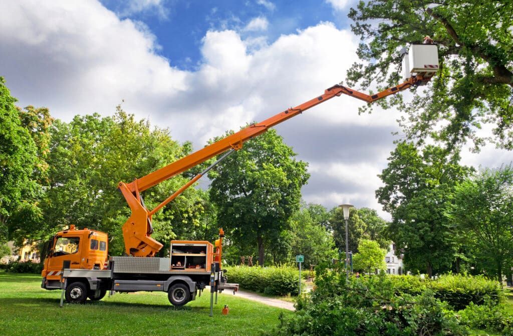 Orange Tree Trimming Truck Extending Towards a Leafy Tree — Airlie Tree Specialists Pty Ltd in Proserpine, QLD