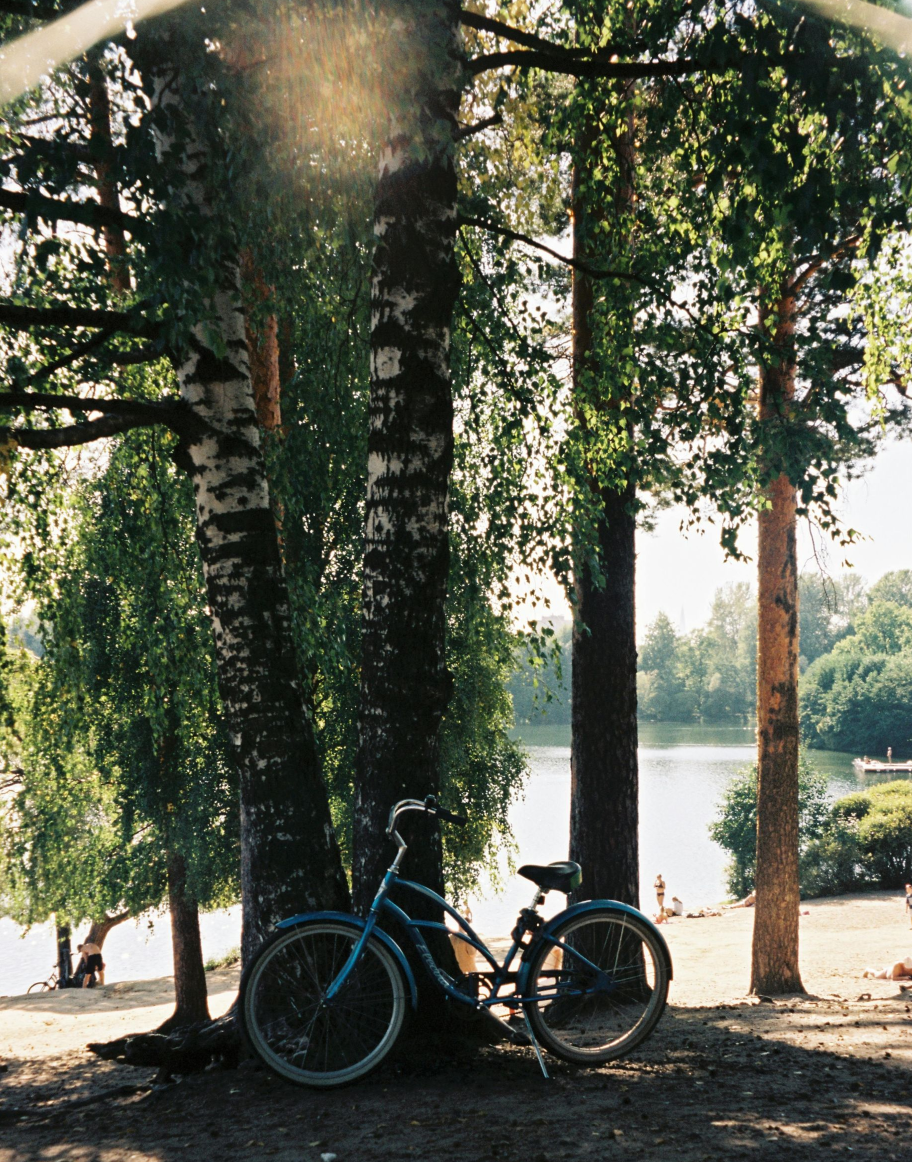 Blaues Fahrrad unter Bäumen am Seeufer im Sonnenlicht