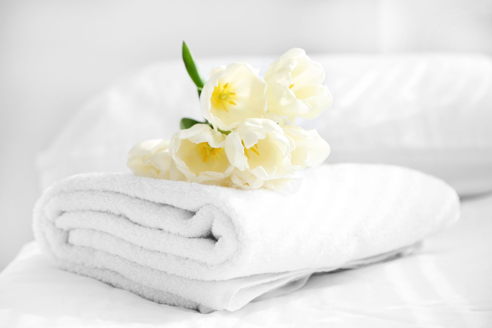 White folded towel with white flowers on a white bed.