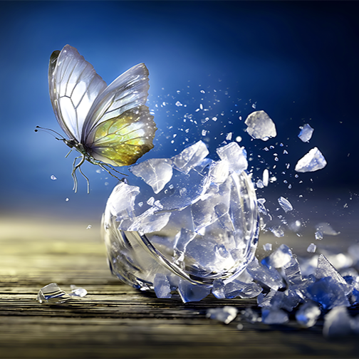 Butterfly on a glass ball on the beach refecting the lake and sky