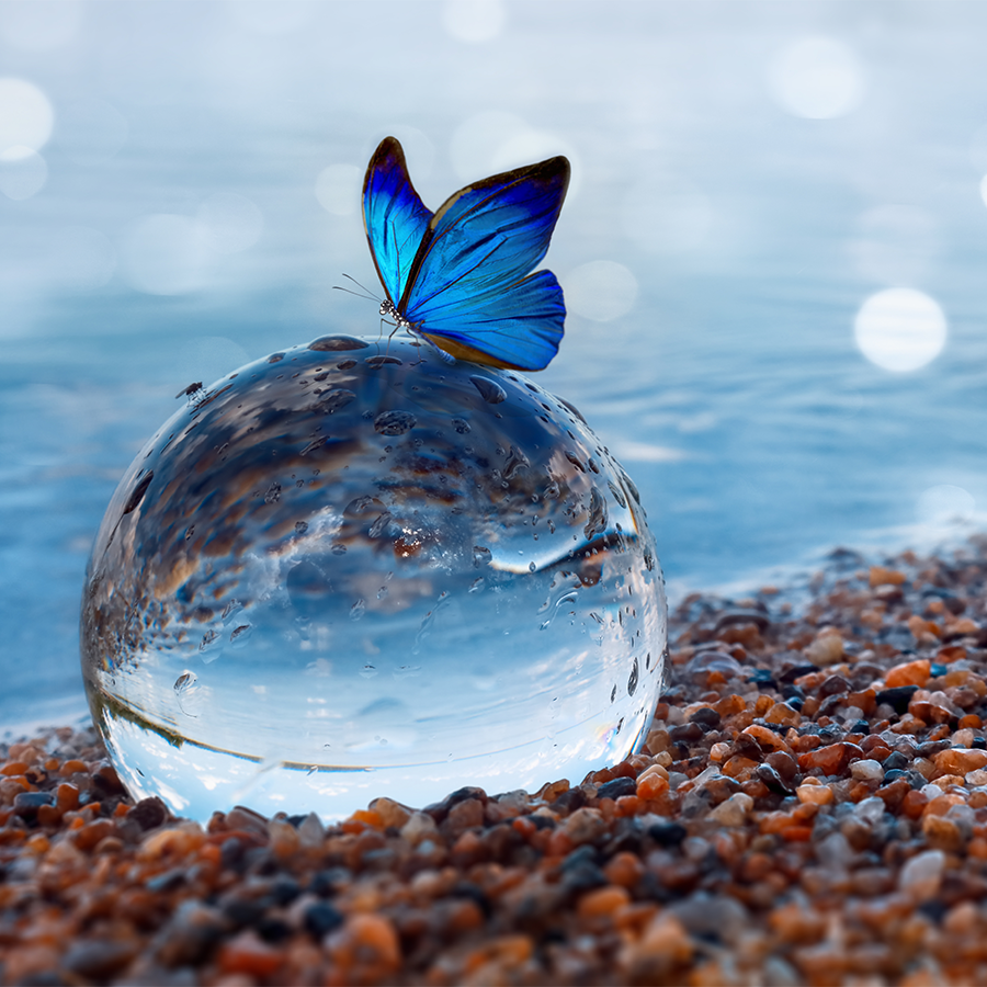 Butterfly on a glass ball on the beach refecting the lake and sky