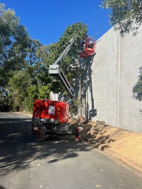 A person in a red cherry picker lift trimming trees against a tall concrete wall on a paved road.