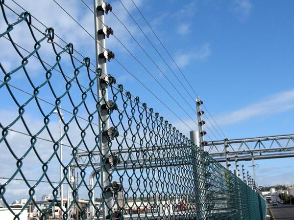 Cercos eléctricos