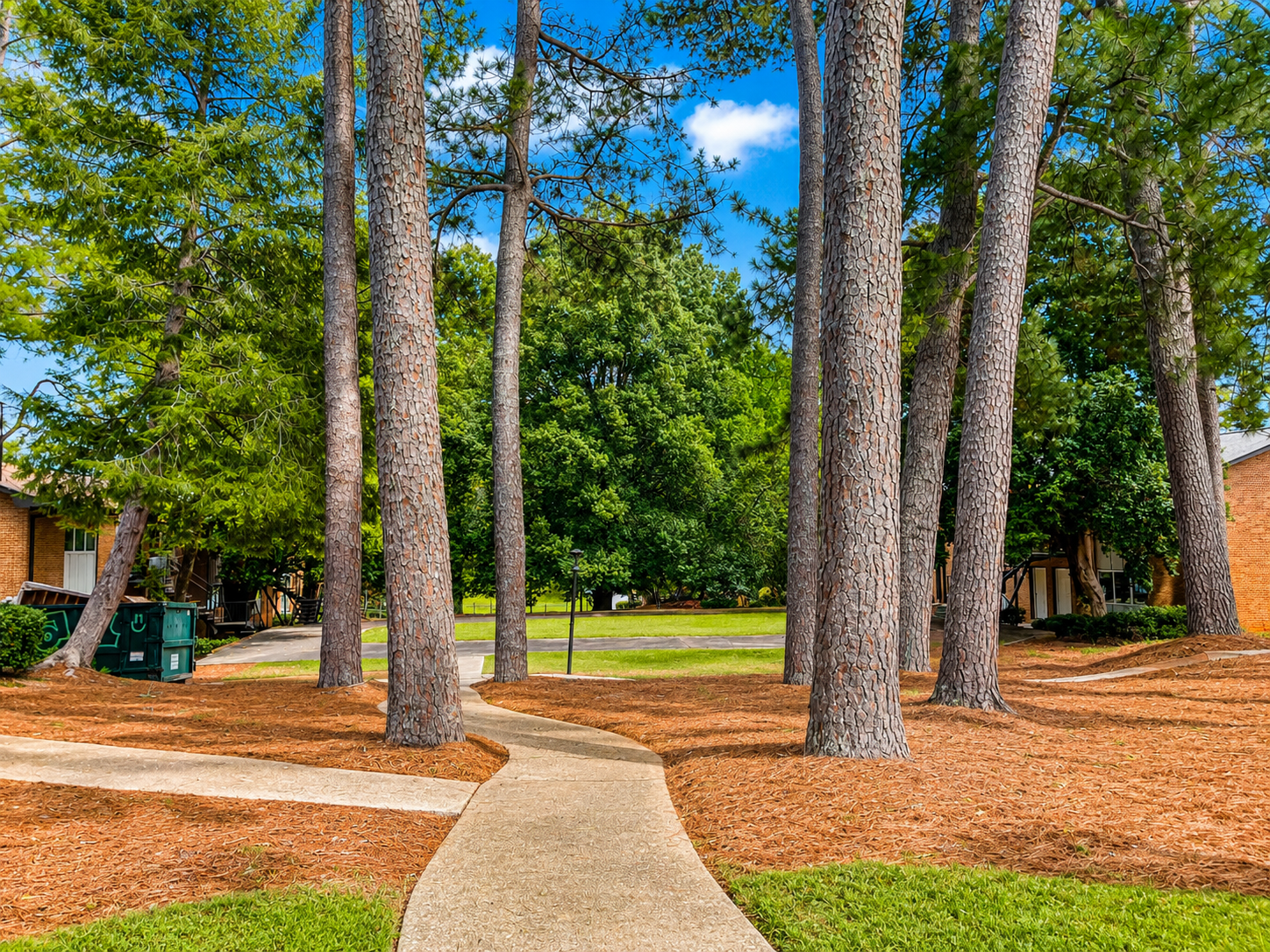 Chat GPT Image of a wooded courtyard in between the apartment buildings