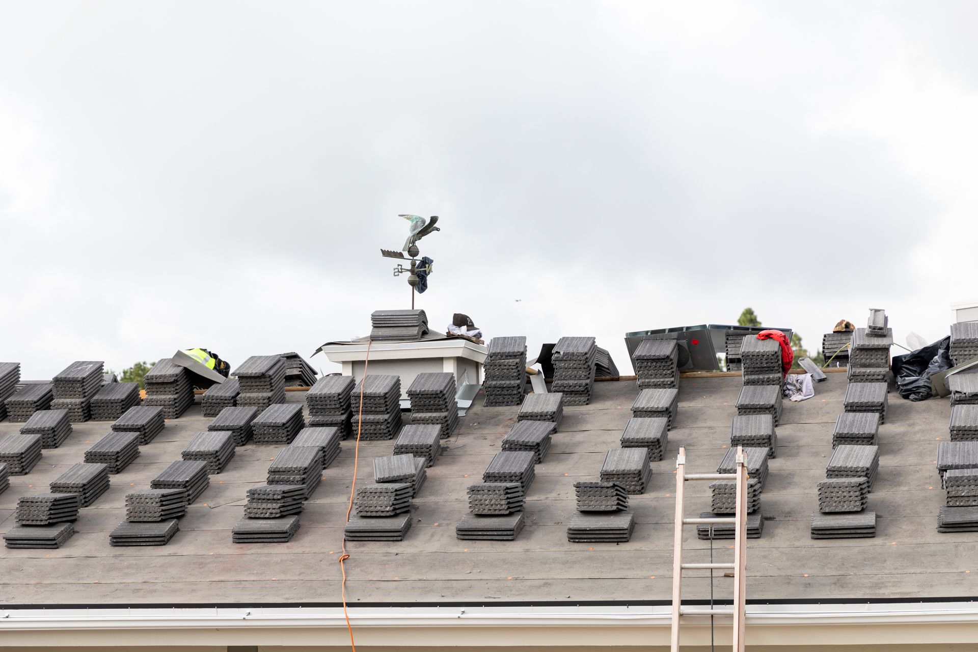 A ladder is on the roof of a building