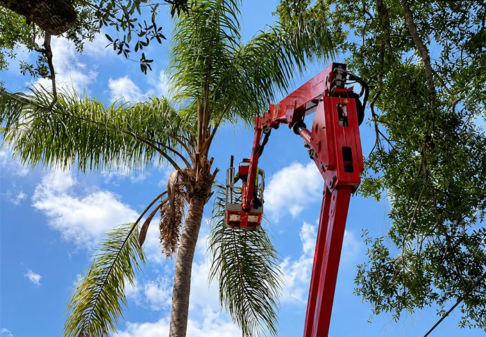 A man in a bucket is cutting a tree in front of a house.