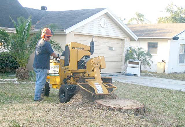 A man is using a yellow machine to remove a tree stump