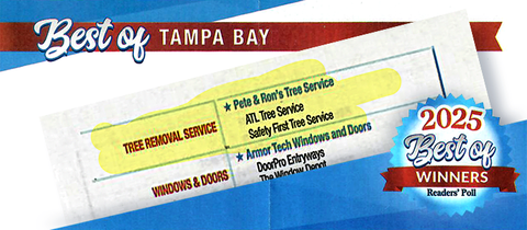 Graphic showing 