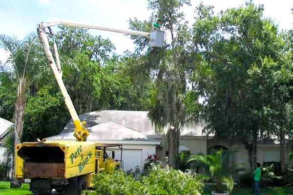A yellow tree chipper is cutting a tree in front of a house.