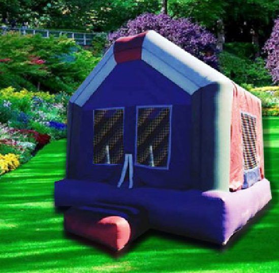 Blue-and-pink bounce house on a green lawn in a garden setting