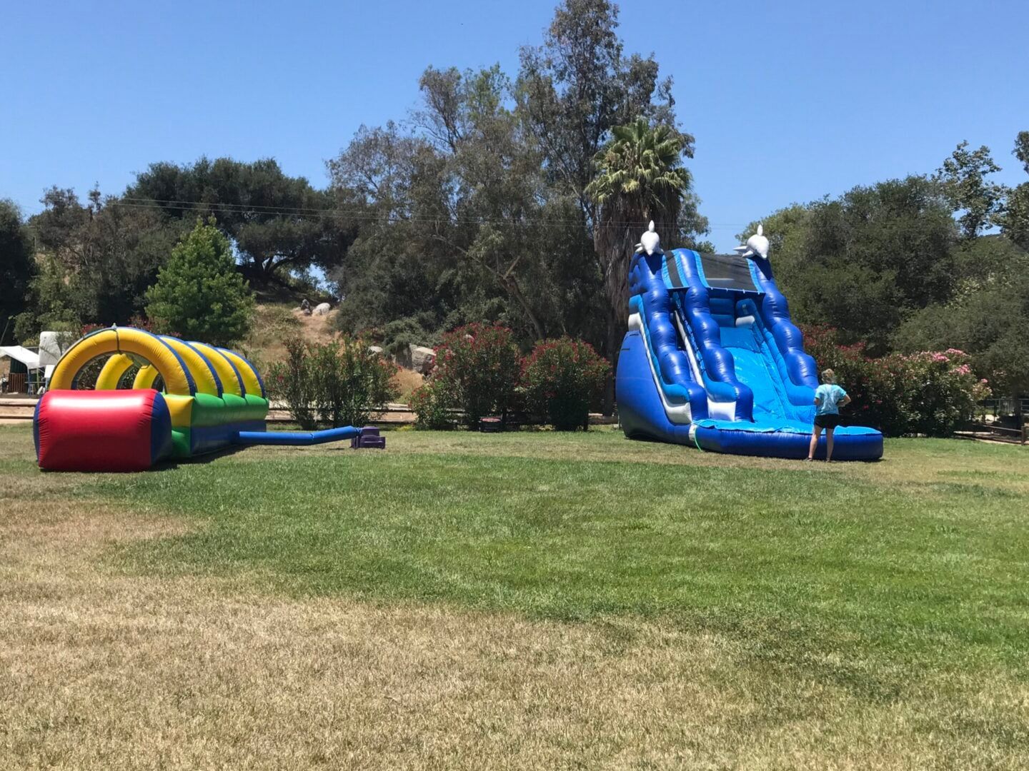 Two inflatable slide bounce houses on a grassy field, one red and yellow, one blue, with trees behind them