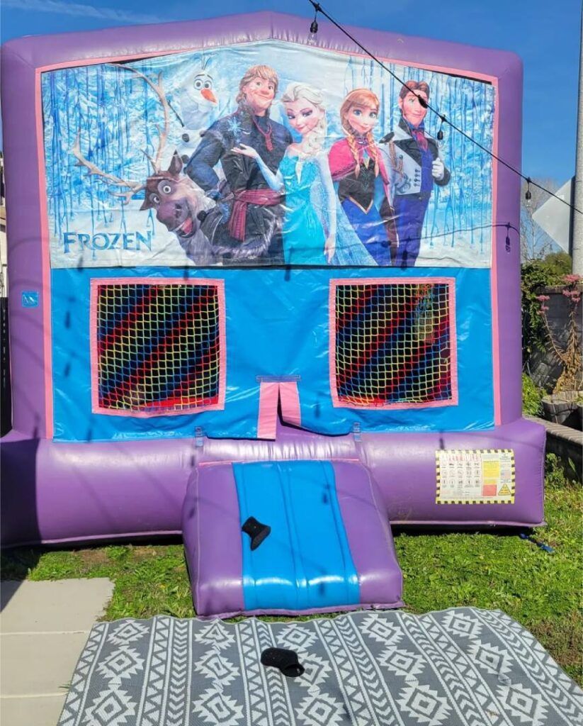 Frozen-themed purple bounce house with Elsa and Anna on the front, outdoors on grass with a mat in front