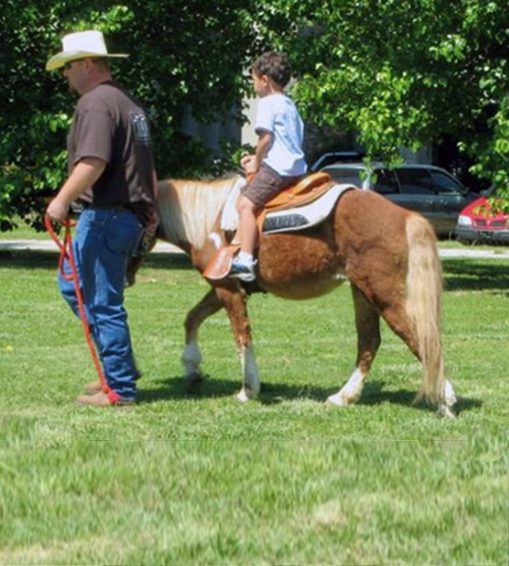 Person leading a small brown-and-white pony with a rider in a grassy park