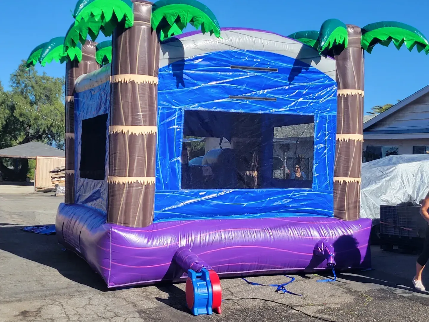 Tropical-themed inflatable bounce house with purple base and blue walls in a driveway