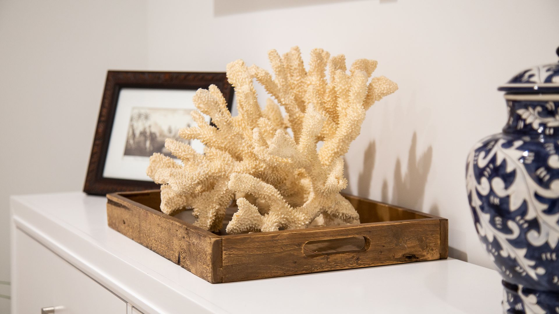 Coastal decor detail at Surf Casita: white coral on a wooden tray with a framed photo and blue-and-white vase