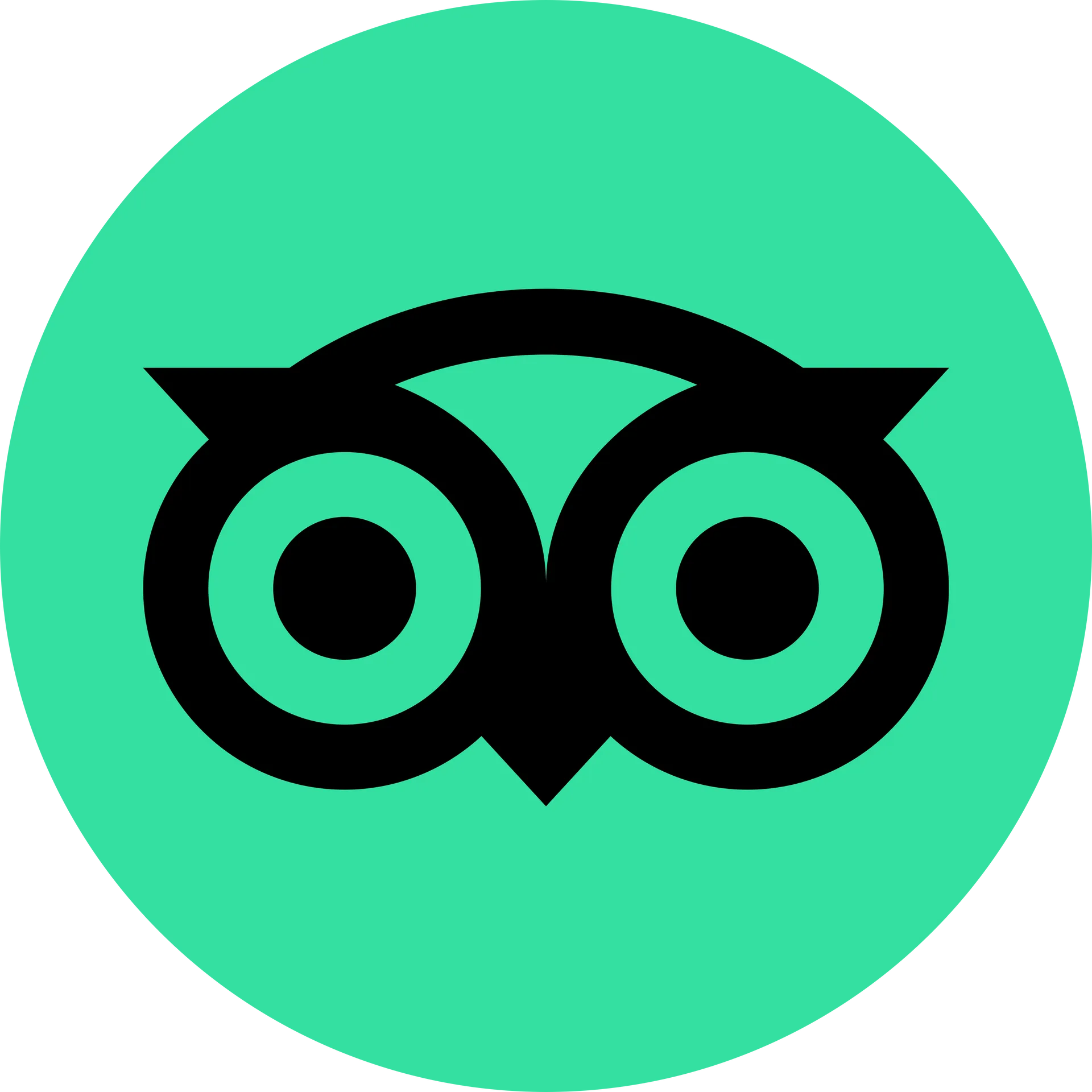 Tripadvisor logo
