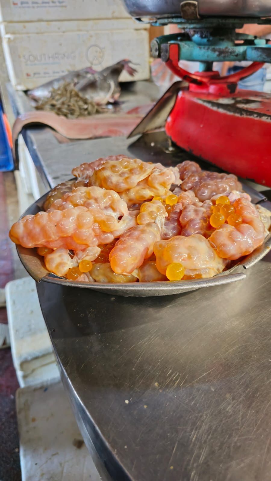 Ovas de peixe da amazônia no Mercado Ver-o-peso de Belém do Pará.