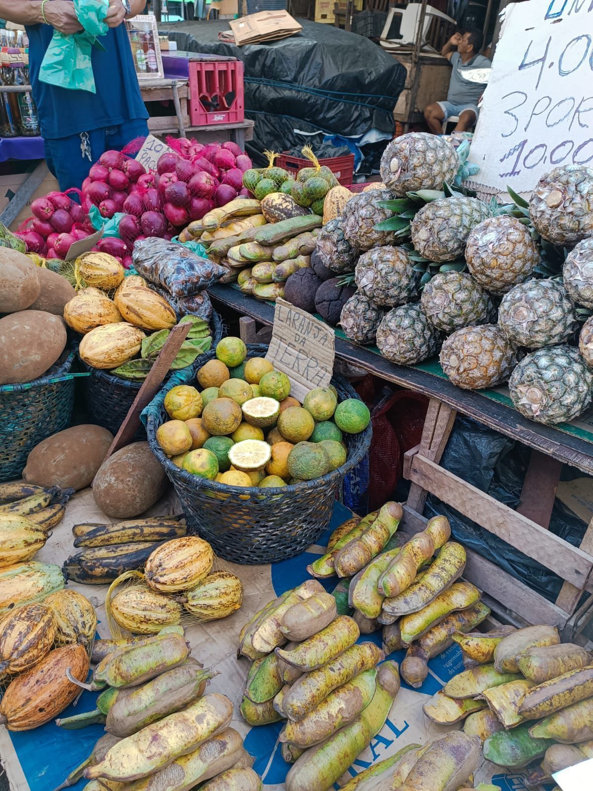 Frutas da amazônia no Mercado Ver-o-peso de Belém do Pará.