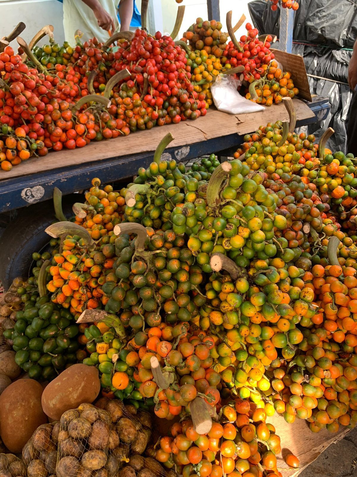 Frutas da amazônia no Mercado Ver-o-peso de Belém do Pará.