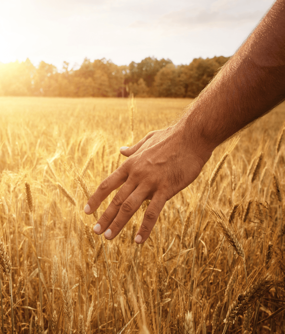 farmers cover plan insurance