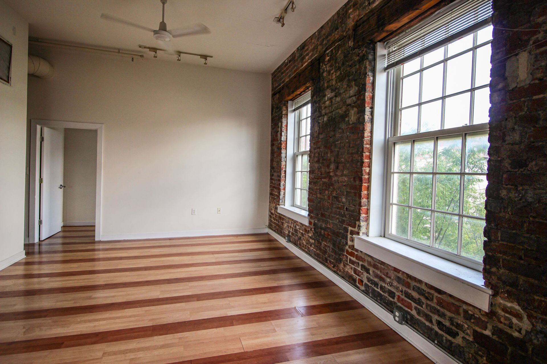 living room windows