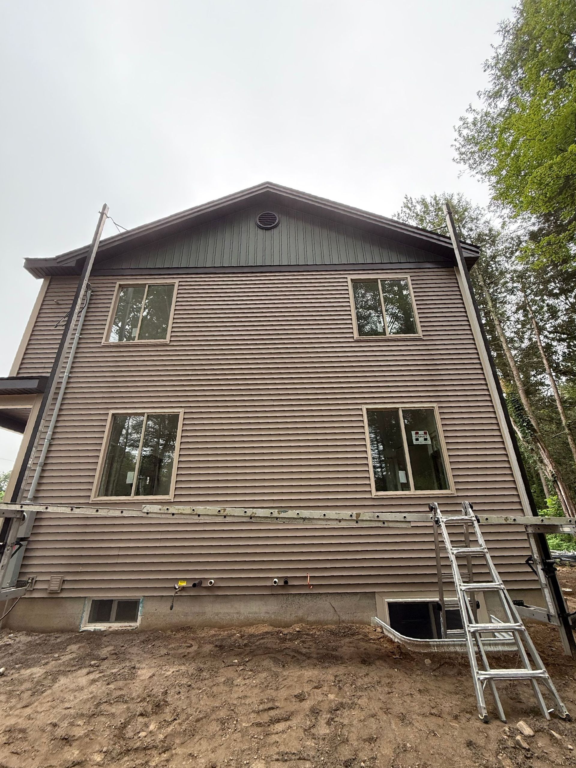 Weathered wood-sided building with windows. Ladder leaned against it, cloudy sky overhead.