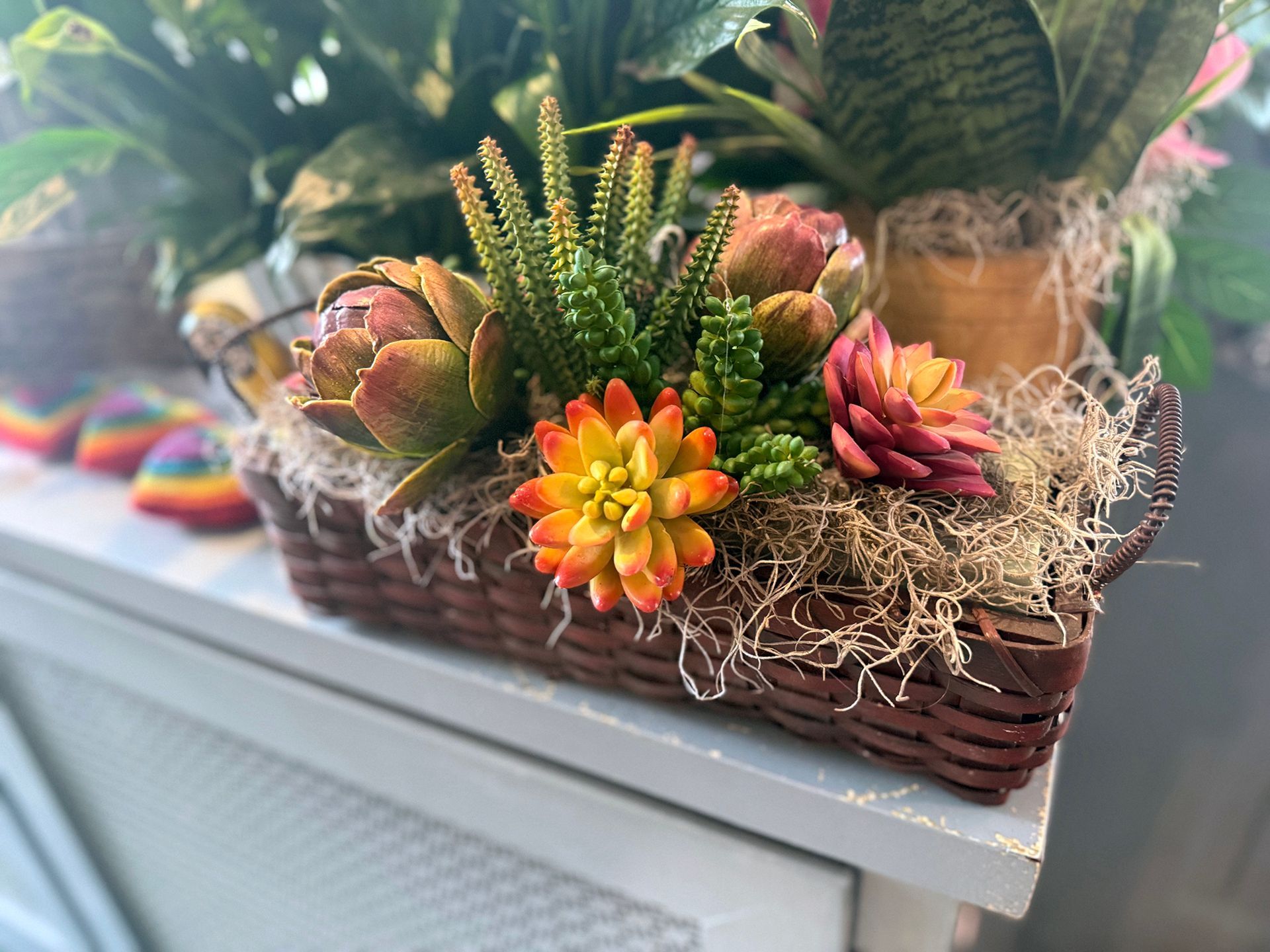 Colorful succulent and moss arrangement in a woven basket on a table, with soft natural light