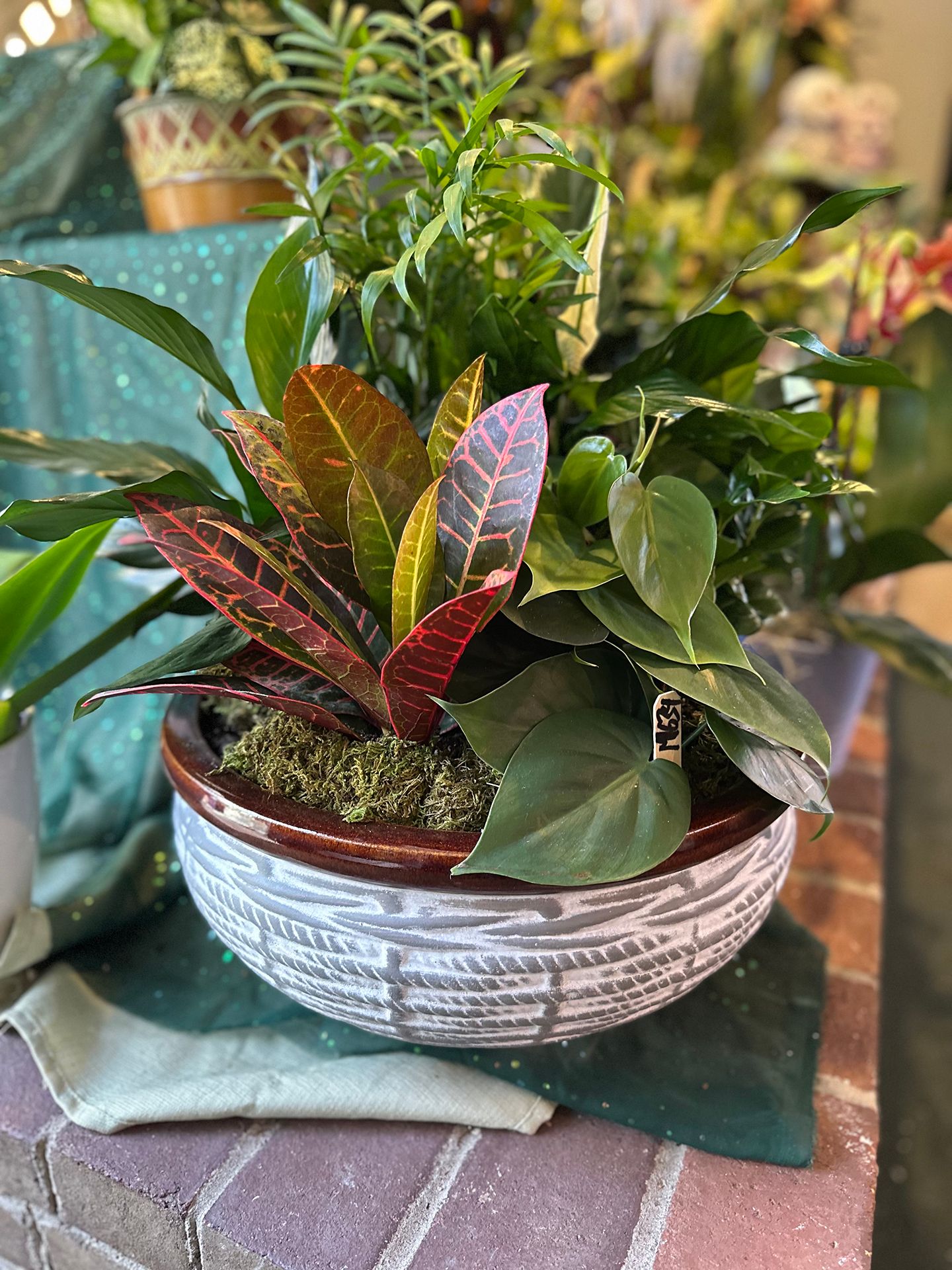 Arrangement of colorful plants, including croton, in a white and brown ceramic bowl.