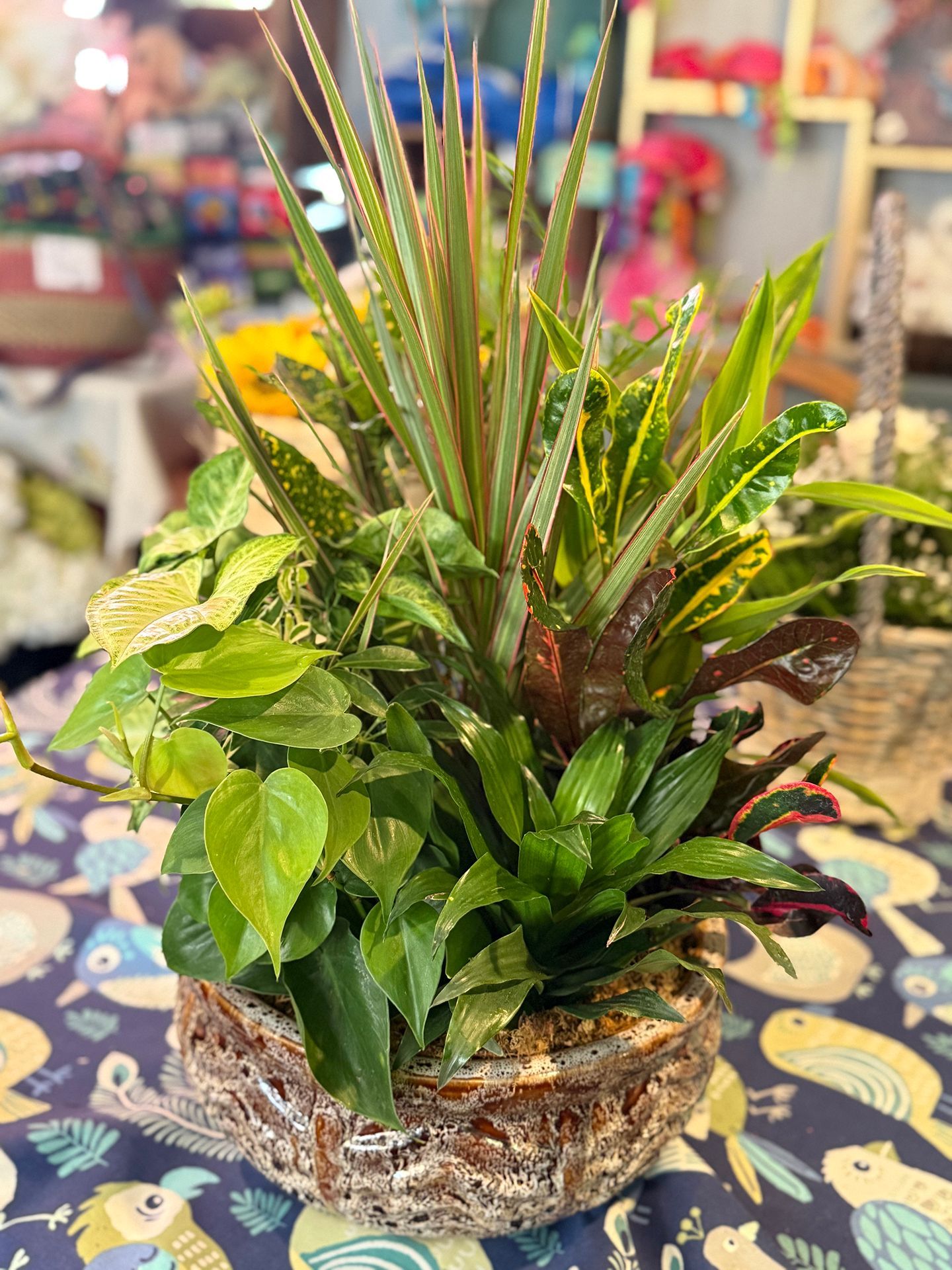 A lush indoor plant arrangement in a textured basket, featuring various green and colorful leaves, on a patterned surface.