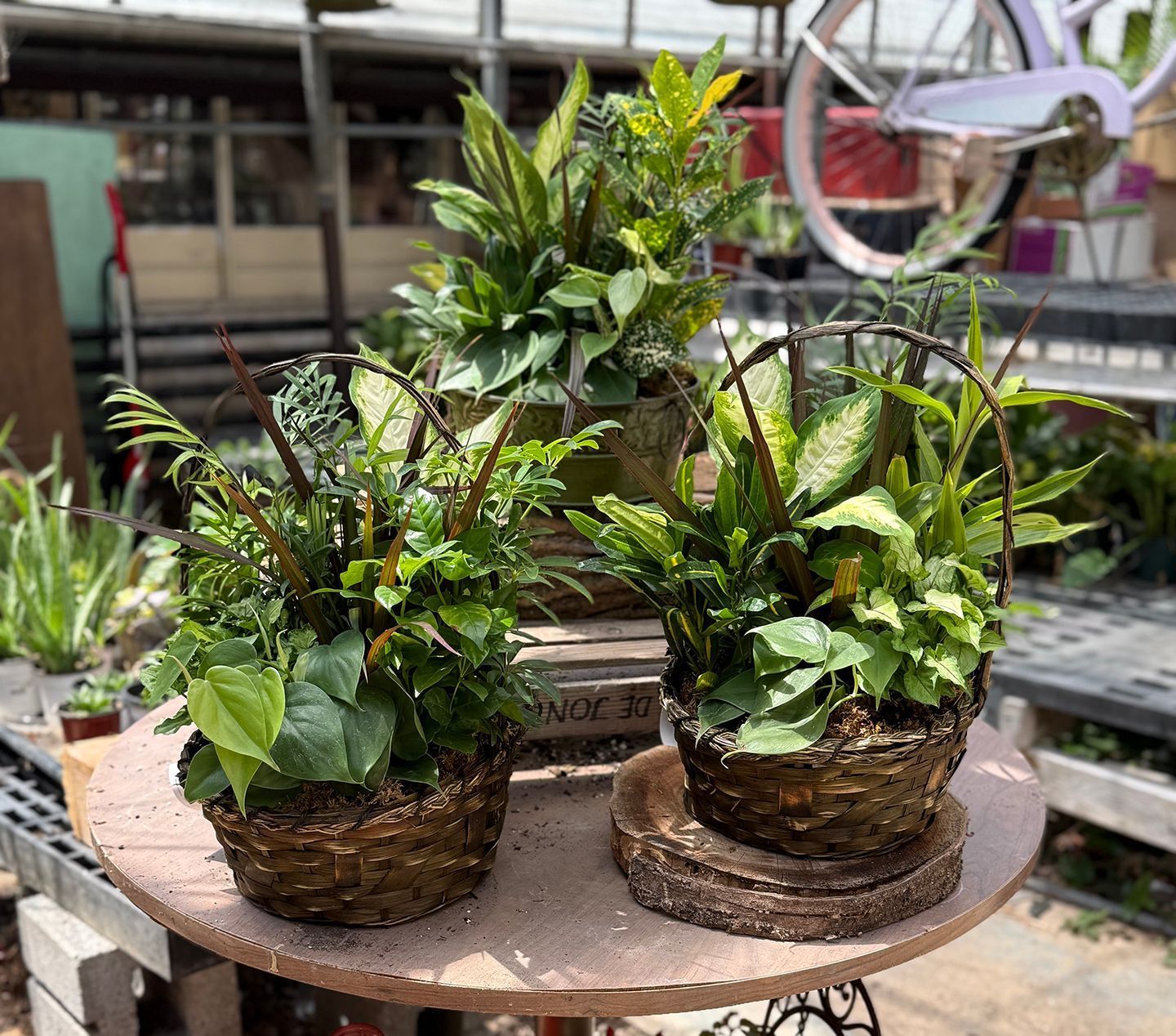 three dish planters in baskets sitting on a table