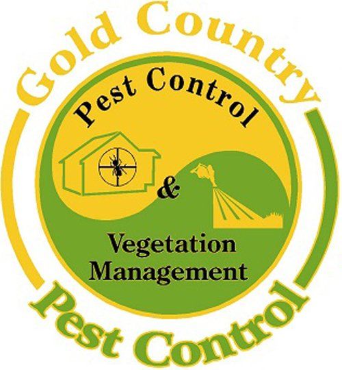 Gold Country Pest Control Gold Country Pest Control Sonora