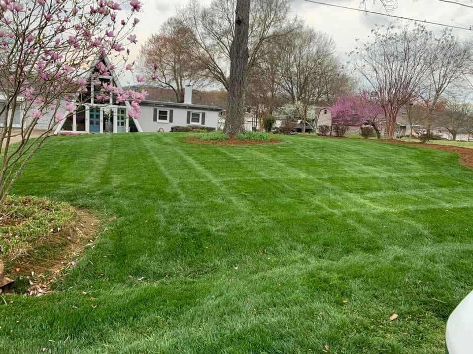 Suburban house with blooming trees and a freshly mowed green lawn in spring