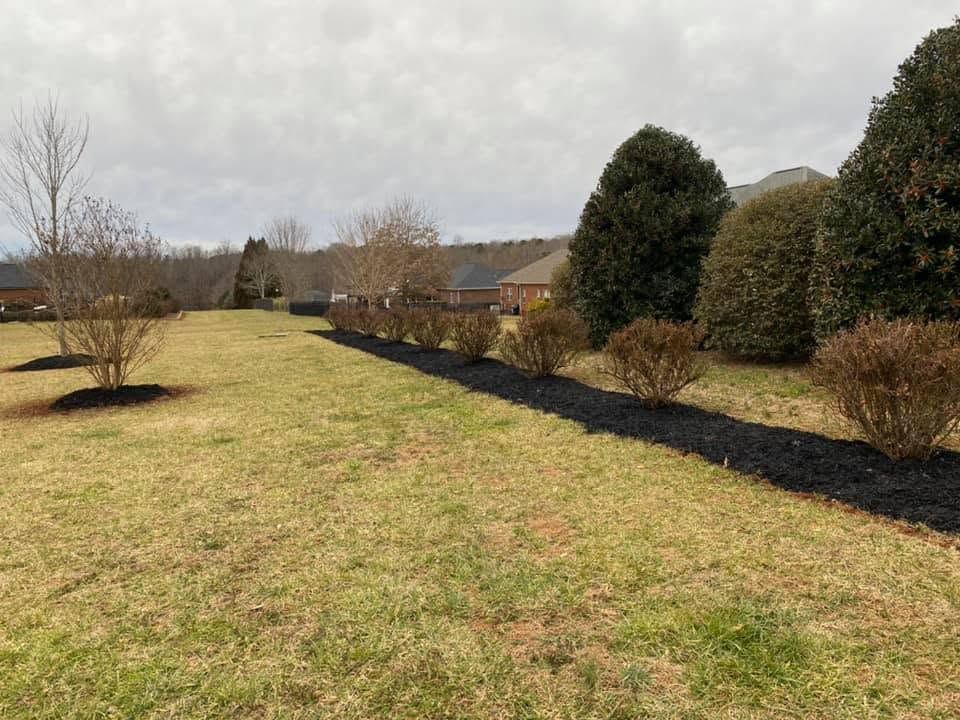 Grassy yard with a black mulch border, shrubs, and cloudy sky in a suburban neighborhood