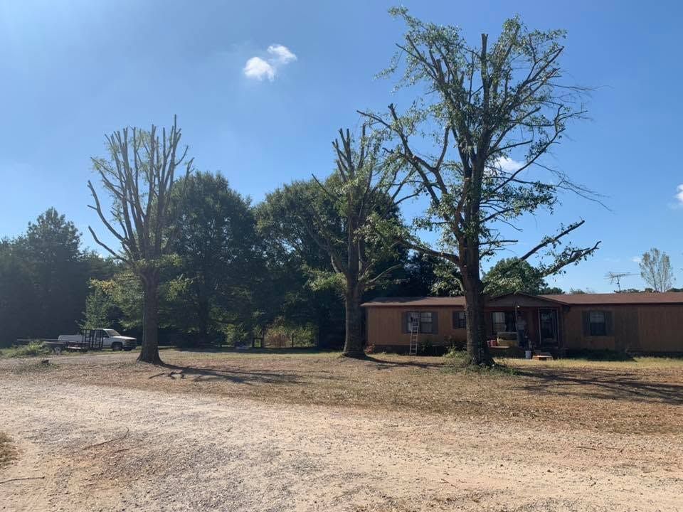 Trimmed hedges and mulch beds framing a residential entry on a Catawba County property